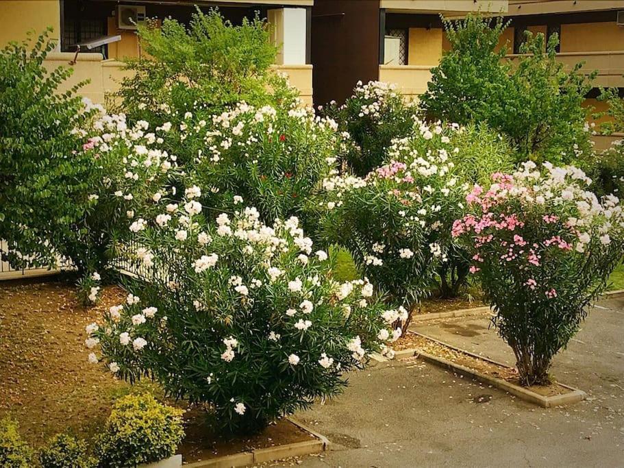 Apartment With Private Parking - Roma Est. Lunghezza Zewnętrze zdjęcie